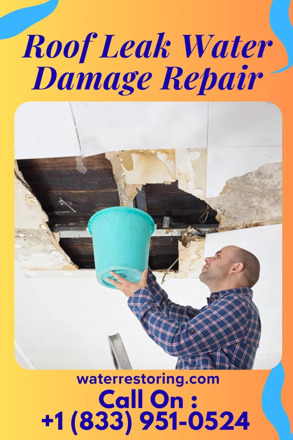 Roof Leak Water Damage Repair in Wolfe City, TX